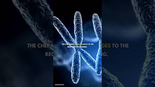 What is RNA Editing  genetics biology dna rna [upl. by Eslek]