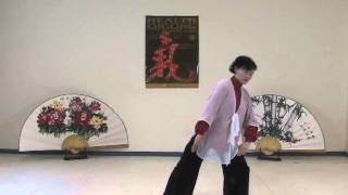 Health Qigong  Ba duan Jin  Eight Pieces of Brocade [upl. by Dnomyar]