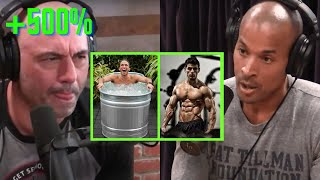 Joe Rogan How to Increase Testosterone by 500 [upl. by Poliard]