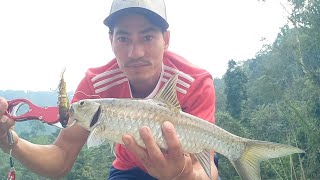 copper mahseer zerek fish trap at pare river [upl. by Esemaj]