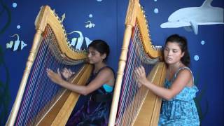 Luz Marina Harp Duo  Pájaro Campana [upl. by Rellek852]