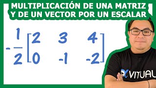 Multiplicación de una matriz y de un vector por un escalar  Álgebra lineal – VitualU [upl. by Yenrab]