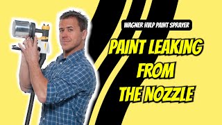 Paint Leaking From The Nozzle  Wagner HVLP Paint Sprayer  Problems amp Solutions [upl. by Durkin]