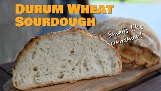 Rustic Durum Wheat Sourdough Bread  An easy bread with a Tangzhong [upl. by Petrick]