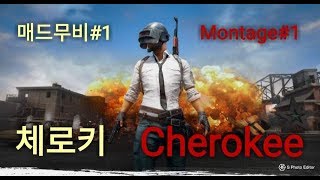 배틀그라운드 체로키 매드무비1 PUBG Cherokee Montage1 [upl. by Eulau]