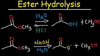 Ester Hydrolysis Reaction Mechanism  Acid Catalyzed amp Base Promoted Organic Chemistry [upl. by Arebma]