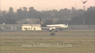 Jet Airways flight take off from T3 of IGI Airport [upl. by Nobell965]