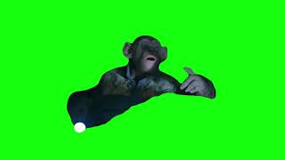 Oh No Planet of the Apes Meme Green Screen [upl. by Hayott607]