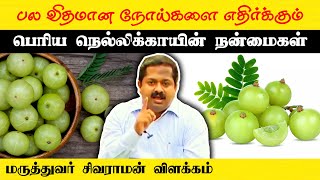 நெல்லிக்காயின் நன்மைகள் Dr Sivaraman speech in Tamil  Gooseberry benefits in Tamil  Tamil speech [upl. by Clarita421]