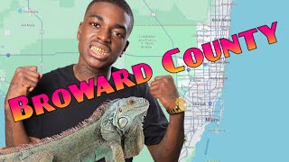 Everything You Need To Know About Broward County Florida [upl. by Ahseral933]