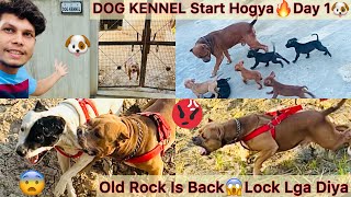 Sb Dogs Ko Kennel M Band Kardiya🐶Dog Kennel Start😍 Rock N Lock Lga Liya😨Pitbull Ko [upl. by Whelan12]