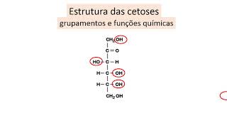 estrutura dos monossacarídeos aldoses e cetoses [upl. by Dragon]