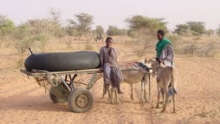 Sahel Pastoralists Improving the Livelihoods of Sahel Pastoral Communities [upl. by Nail]