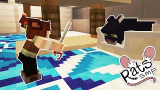 Rats can tame CATS  Rats SMP [upl. by Atsok]