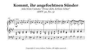 Organ Kommt ihr angefochtnen Sünder Alto Aria “Freue dich Erlöste Schar” BWV 30  JS Bach [upl. by Pejsach]