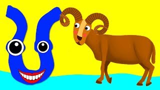 Learn the Alphabet Animals  Letter U  URIAL [upl. by Airtened]