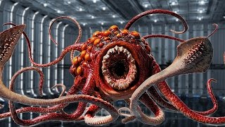 10 Weirdest CREATURES in STAR WARS [upl. by Naek666]