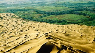 How China is Reforesting the Gobi Desert into Forest  The Great Green Wall [upl. by Ray475]