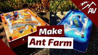 How to Build an Ant Farm  DIY Ytong Ant Nest Formicarium [upl. by Eenerb]