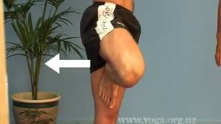 Beginners Online Yoga Class  Classes of 20 Yoga postures [upl. by Gayn]