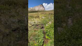 Colorado San Juan Mountain peak⛰️🥾🏞️🌞 Uncompahgre nature outdoors hiking colorado 14ers [upl. by Ahsenra]