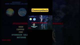 How Chemosynthesis Works and Why It Matters [upl. by Gollin]