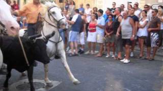 taureaux lachés dans les rues dEyguières [upl. by Issi508]