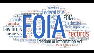 Solicitud de FOIA con USCIS [upl. by Anielram394]