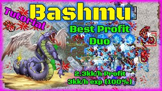 Best PROFIT Duo  Bashmu 2kkh profit 3kkh exp 100 Tibia 2021 [upl. by Sheryle]