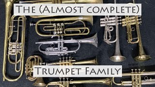 The almost complete Trumpet Family [upl. by Annij]