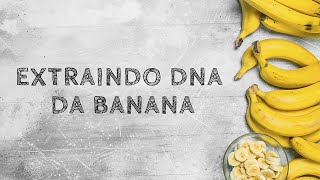 Experimentos de Biologia  GENÉTICA EXTRAÇÃO DE DNA DE BANANA [upl. by Droffig]