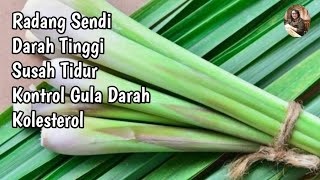 MANFAAT AIR REBUSAN SEREH DAN DAUN PANDAN BAGI KESEHATAN [upl. by Hannaj]