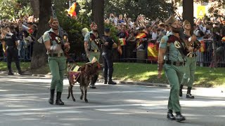 La Legión desfile 12 de Octubre 2023 Madrid [upl. by Ike]