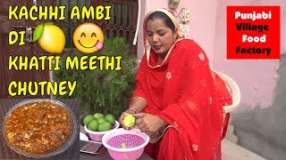 Aam ki Chatni  Raw Mango Chutney  Mango Chutney  Chutney  Mere Rashke Qamar Sing by my wife [upl. by Ninnahc]