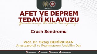 CRUSH Sendromu  ProfDr Oktay DEMİRKIRAN [upl. by Aivyls]