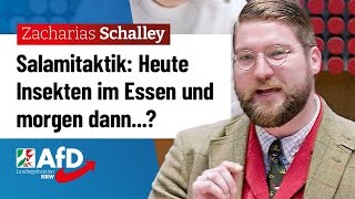 Der Plan hinter Insekten im Essen – Zacharias Schalley AfD [upl. by Otanod528]