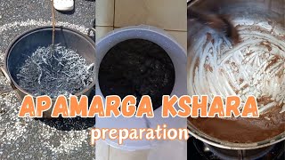 Preparation Documentary  APAMARGA KSHARA [upl. by Wenn]