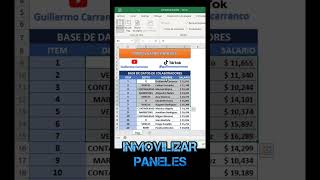 Inmovilizar paneles como encabezados  excel office tutorial formula exceltips ventas [upl. by Aerdnak]