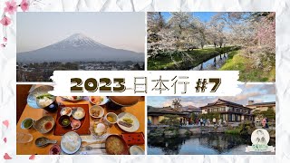 2023春 日本美食行第七辑  富士山河口湖晚樱最佳观赏地忍野八海 [upl. by Mattheus]