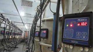 InterPuls iMilk500 on a Milking Machine in Chinawmv [upl. by Lepper]