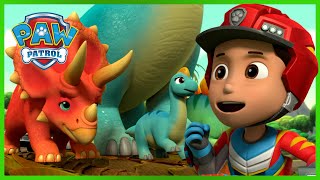 Dino Rescate Los cachorros y el gran estruendo  PAW Patrol Episodio Español  Patrulla de Cachorros [upl. by Eidnyl]