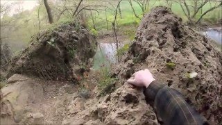 Exploring Saltpetre Cave in Barren County KY [upl. by Holcman]