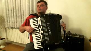 Biełyje rozy Белые розы  akordeon cover [upl. by Jacklin]