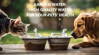 WHY VETS AND PETS PREFER KANGEN WATER by Dr Tim Crowe DVM [upl. by Ahtiekahs]