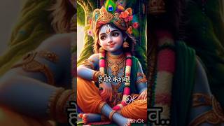 हे मेरे केशव krishna radha ka status video radhakrishna krishna shorts [upl. by Tiny]