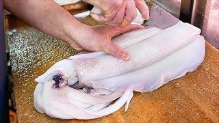 Japanese Street Food  GIANT SQUID Fried Calamari Sashimi Okinawa Seafood Japan [upl. by Lacim]