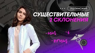 Существительные 2 склонения [upl. by Krever]