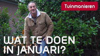 Wat te doen in Januari in de tuin  Tuinieren  Tuinmanieren [upl. by Aloysius]