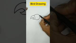 Bird Drawing drawing shorts hesanartandcraft birds love art youtubeshorts [upl. by Nednal]