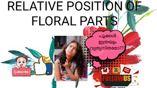 POSITION IN FLOWERSHYPOGYNOUSEPIGYNOUSPERIGYNOUSANGIOSPERMMORPHOLOGY botanylectures biology [upl. by Niboc]